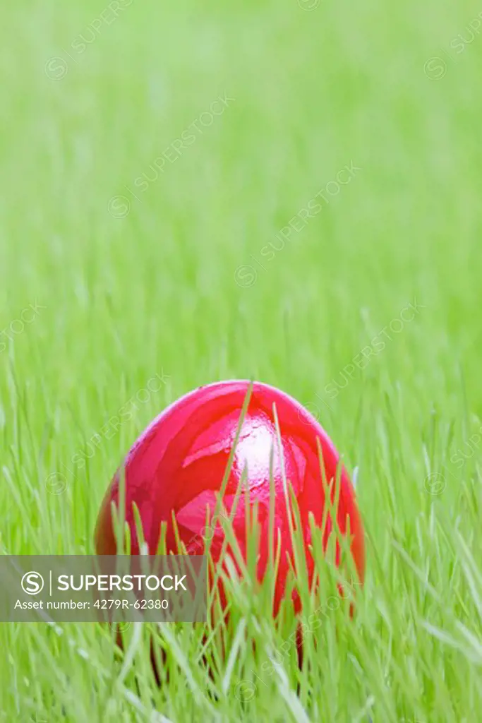 Easter, red Easter egg in the grass