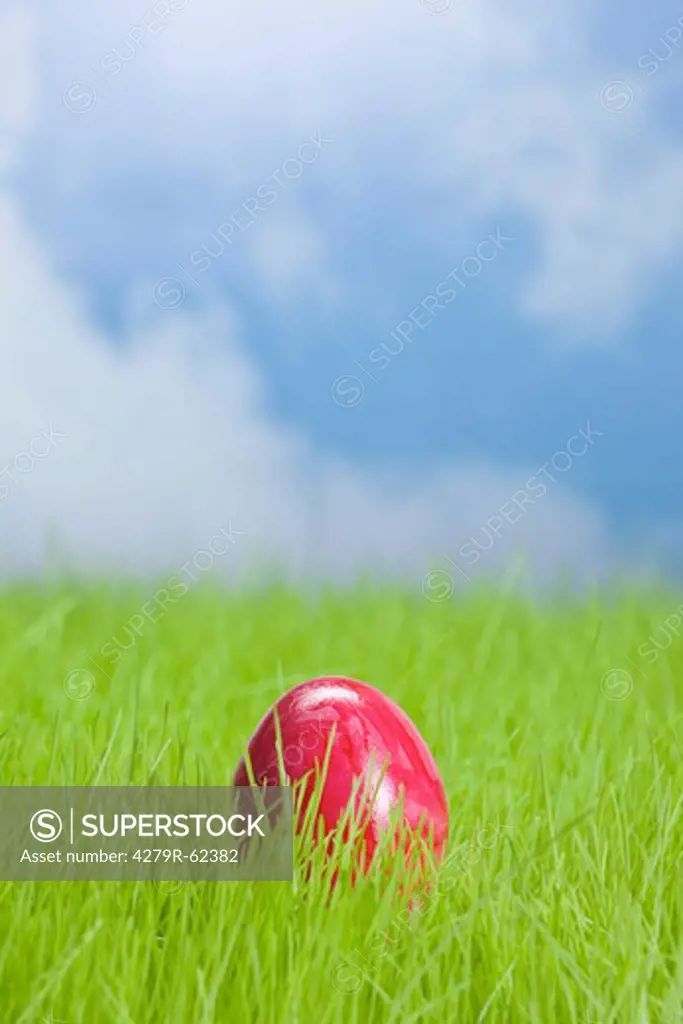 Easter, red Easter egg in the grass