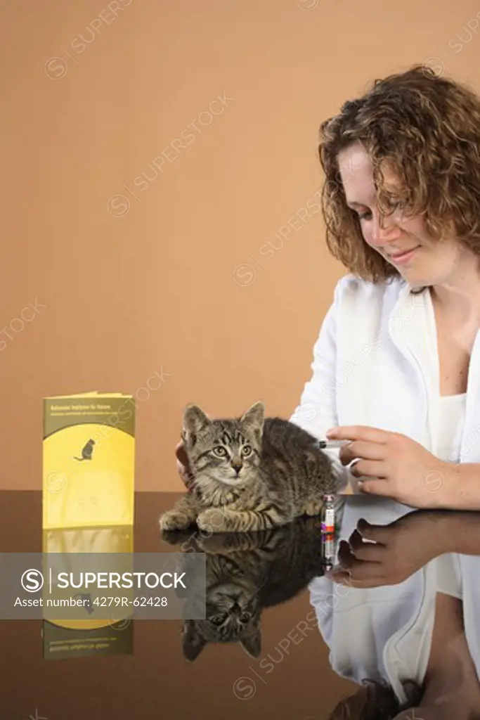 tabby kitten - getting an injection