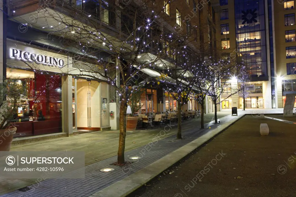 England, West Midlands, Birmingham. Trees decorated with Christmas lights outside Piccolino restaurant in Brindleyplace, an award winning business and leisure destination in the heart of Birmingham city centre.