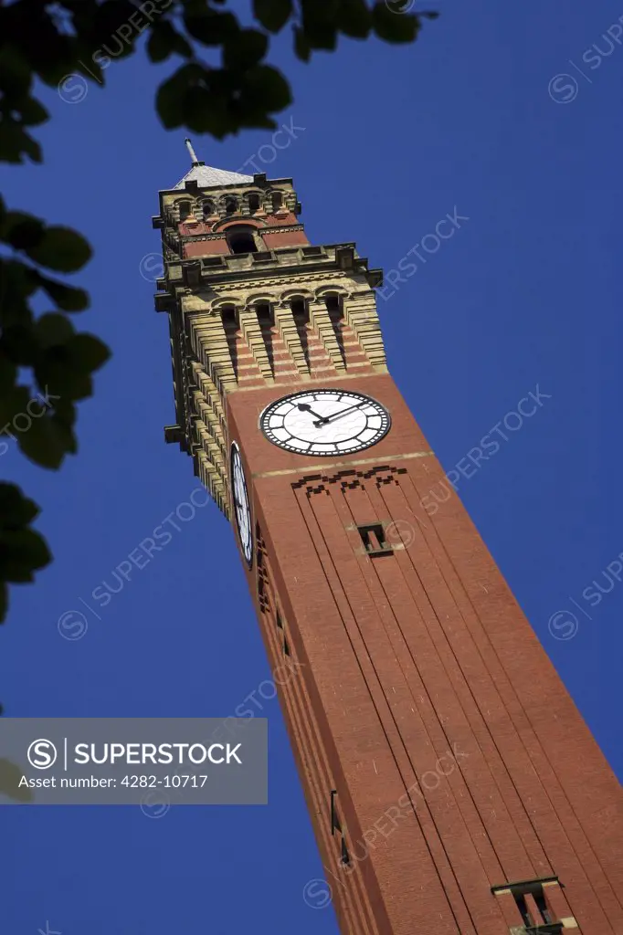 England, West Midlands, Birmingham. The Joseph Chamberlain Memorial Clock Tower, known as 'Old Joe' in the centre of the University of Birmingham campus.