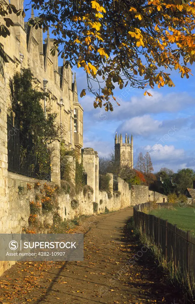 England, Oxfordshire, Oxford. A view along Deadman's Walk in Autumn.