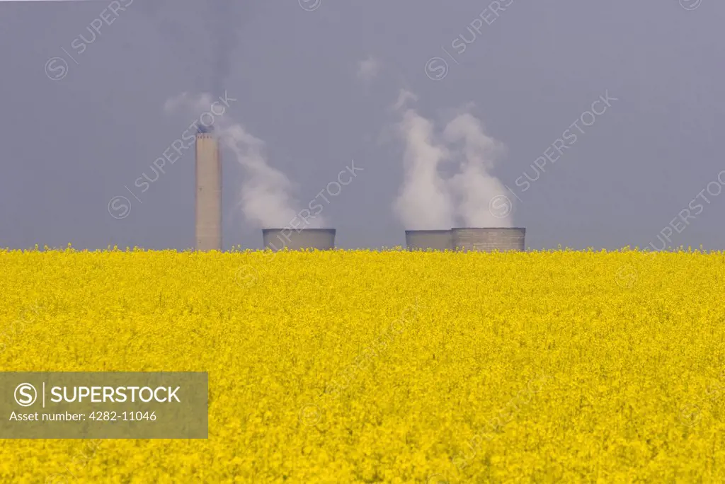 England, Oxfordshire, Didcot. Didcot Power Station viewed from oil seed rape field.