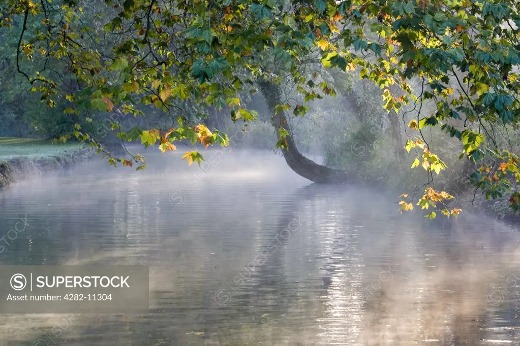 England, Oxfordshire, Oxford. Autumn colour and mists on the River Cherwell at Oxford.