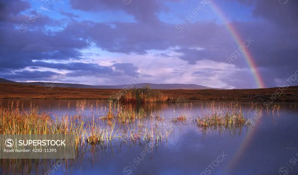 Ireland, County Galway, Connemara. Rainbow reflected in water.