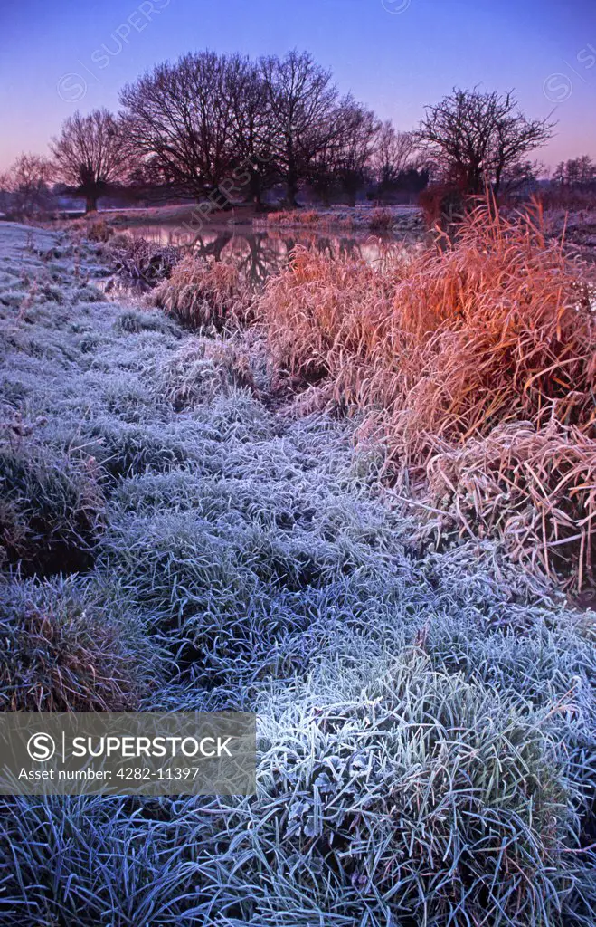 England, Suffolk, Dedham Vale. Frosty morning on the banks of the river Stour.