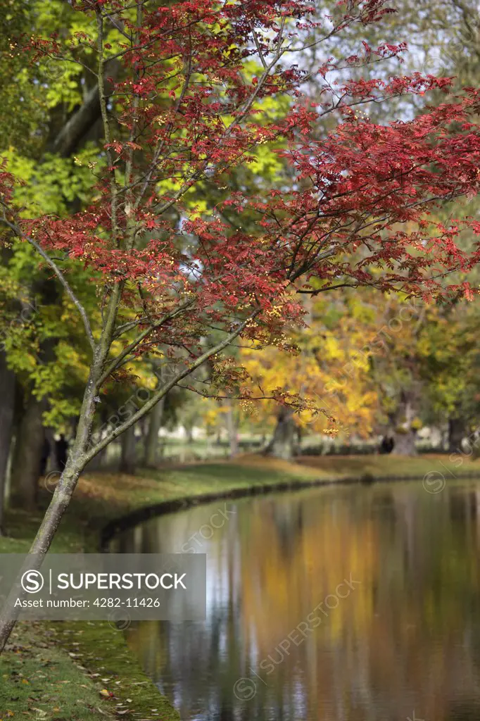 England, Oxfordshire, Oxford. Autumnal colours reflected in the River Cherwell in Oxford.