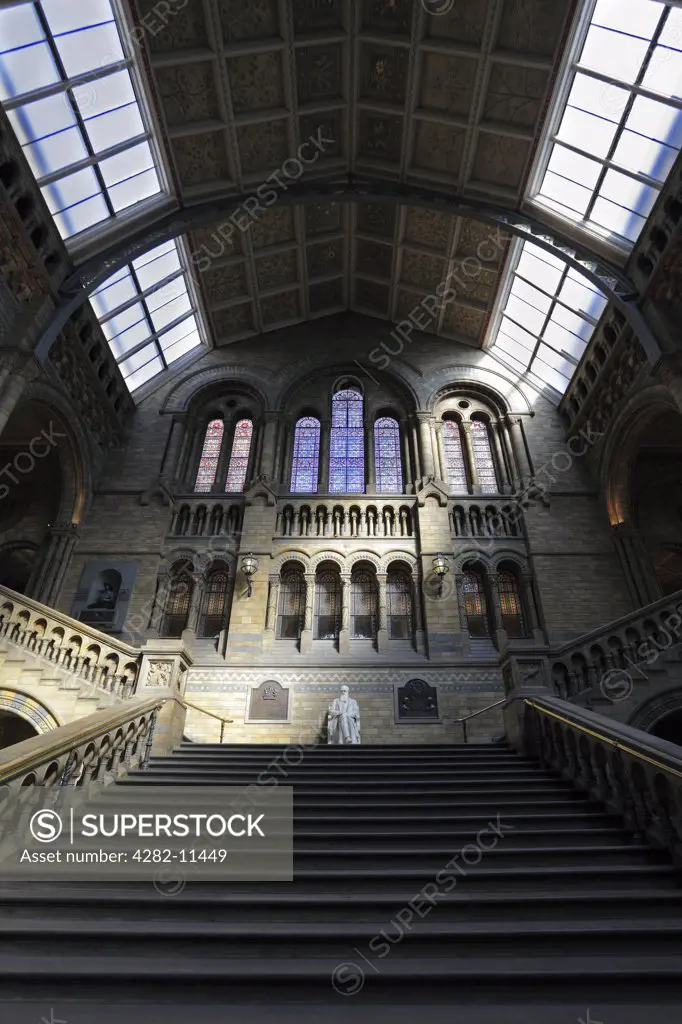 England, London, South Kensington. A 2.2 tonne marble statue of Charles Darwin at the top of the grand staircase in the Central Hall of the Natural History Museum.