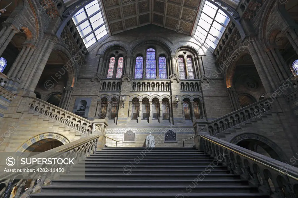 England, London, South Kensington. A 2.2 tonne marble statue of Charles Darwin at the top of the grand staircase in the Central Hall of the Natural History Museum.