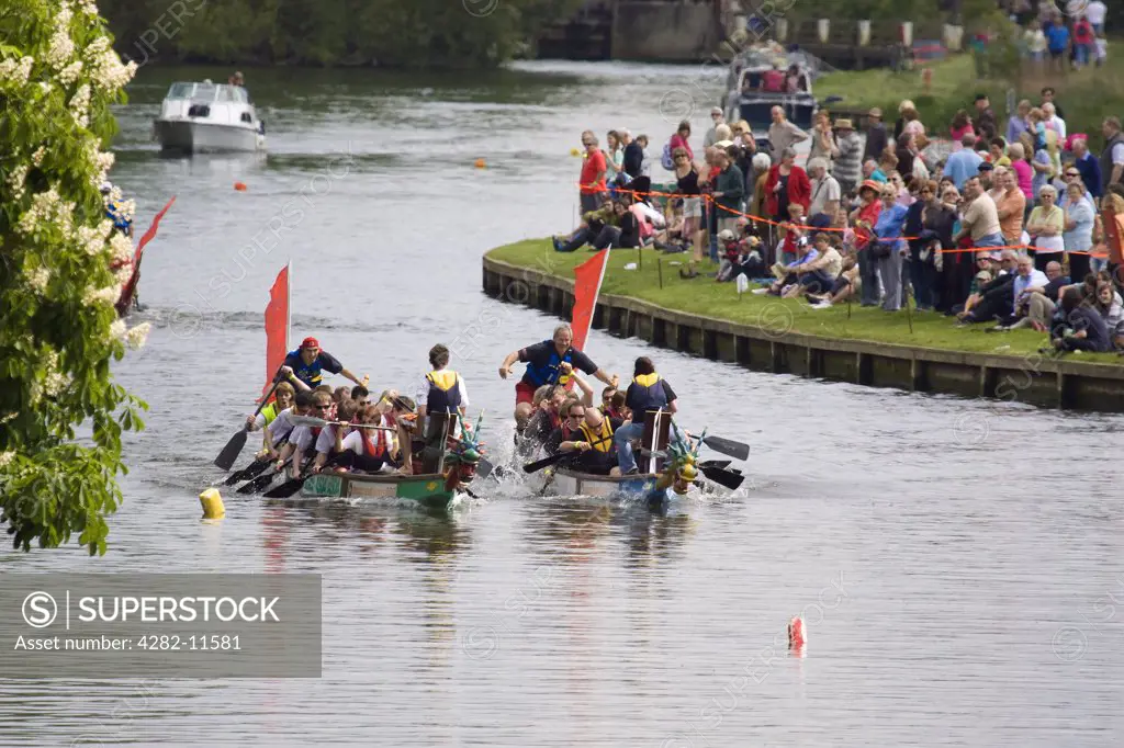 England, Oxfordshire, Abingdon. Dragon boat racing at the annual fund raising event on the River Thames at Abingdon.
