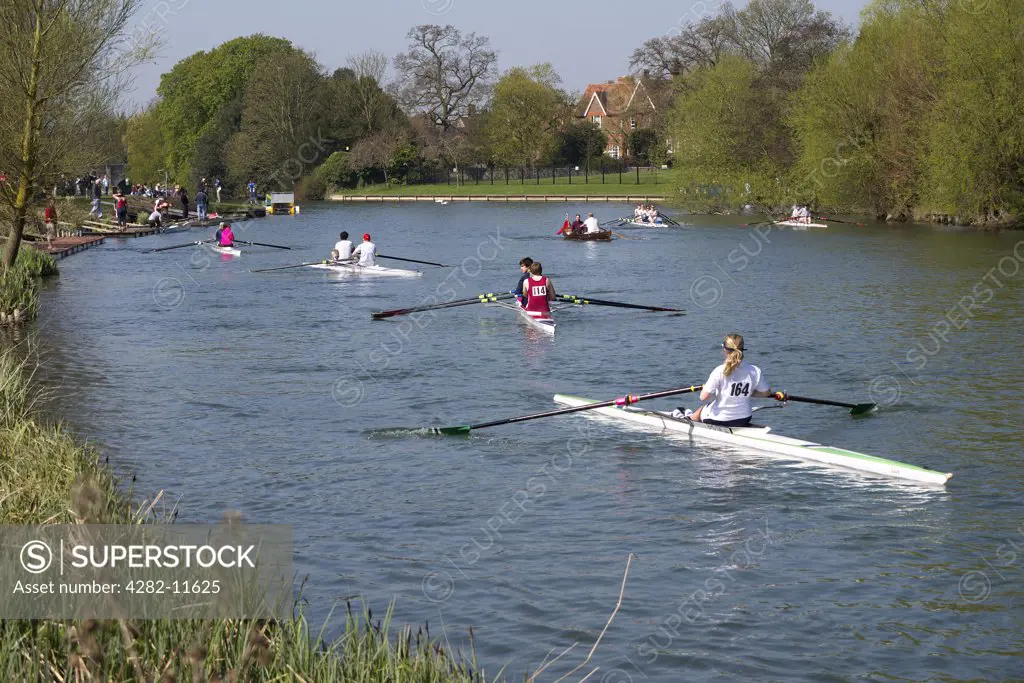 England, Oxfordshire, Abingdon. Rowing regatta on the River Thames at Abingdon.