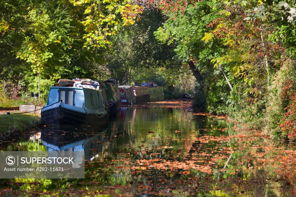 England, Oxfordshire, Oxford. Houseboats on Oxford Canal in autumn.