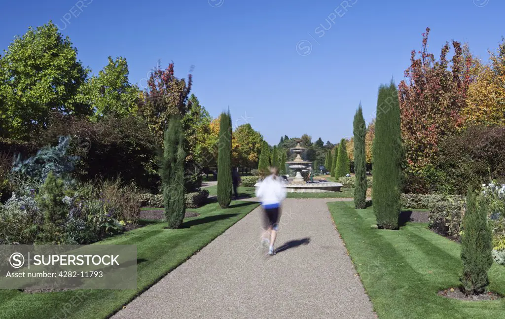 England, London, Regent's Park. A woman jogging through landscaped gardens in Regent's Park.