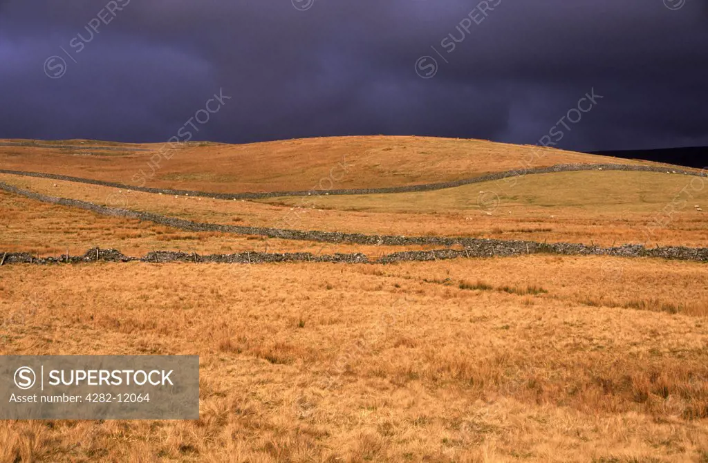 England, North Yorkshire, Ribblesdale. A shaft of sun illuminates a field and drystone wall in Ribblesdale.