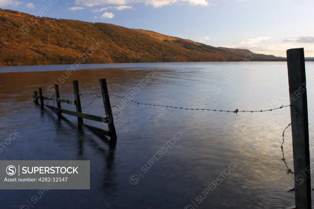 England, Cumbria, Coniston. Afternoon light illuminates the calm waters of Coniston Water on the Cumbria Way.