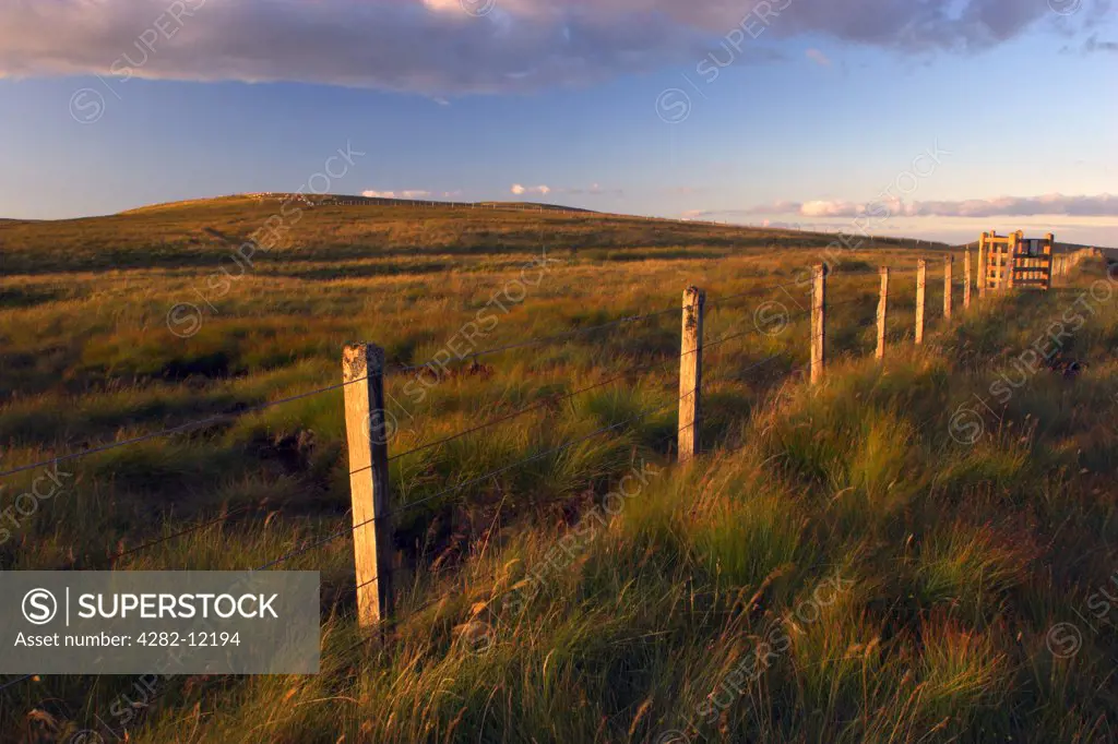 England, Cumbria, Alston. A wire fence running across moorland at the summit of Hartside Pass near Alston.
