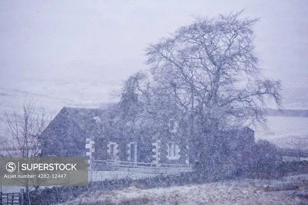 Scotland, Scottish Borders, Glentude Hill. A snow blizzard engulfs a farm house situated near the remote Glenlude Hill.