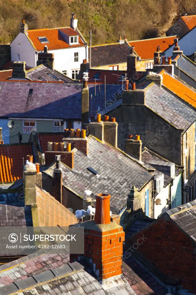 England, North Yorkshire, Staithes. View looking down on the roofs and chimney pots of the old town of Staithes, located within the North York Moors National Park.