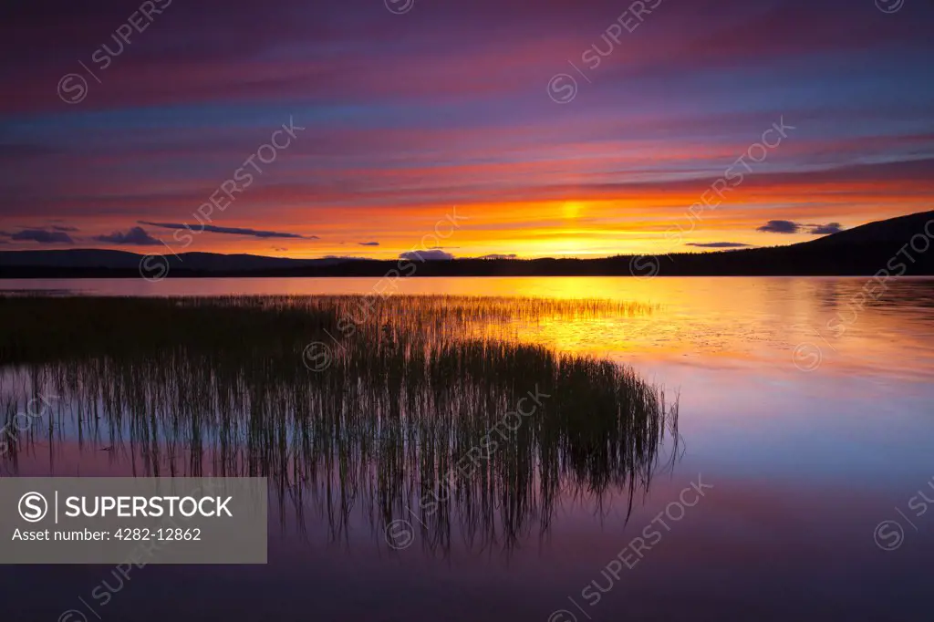 Scotland, Highland, Loch Morlich. Summer sunset over Loch Morlich near Aviemore in the Cairngorms National Park.