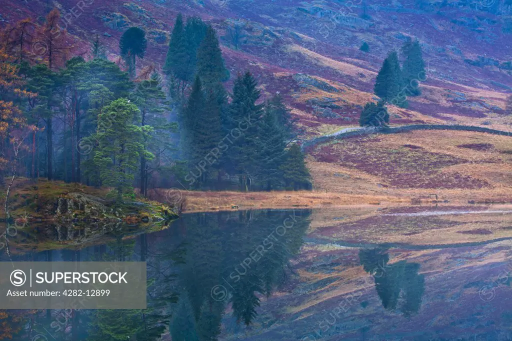 England, Cumbria, Blea Tarn. A misty dawn at Blea Tarn near Great Langdale in the Lake District.