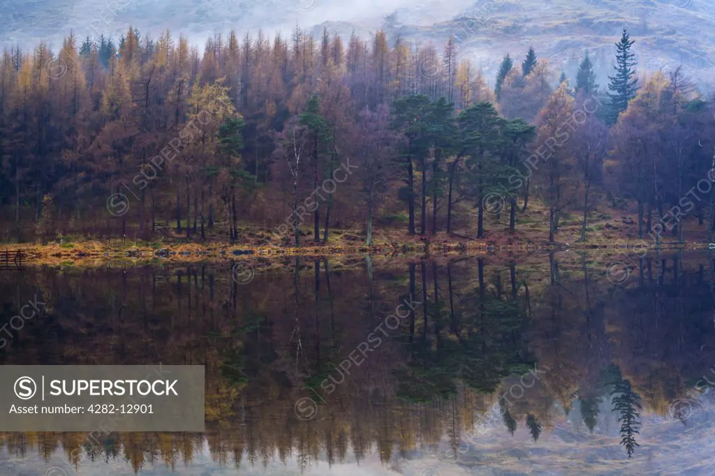 England, Cumbria, Blea Tarn. A misty dawn at Blea Tarn near Great Langdale in the Lake District National Park.