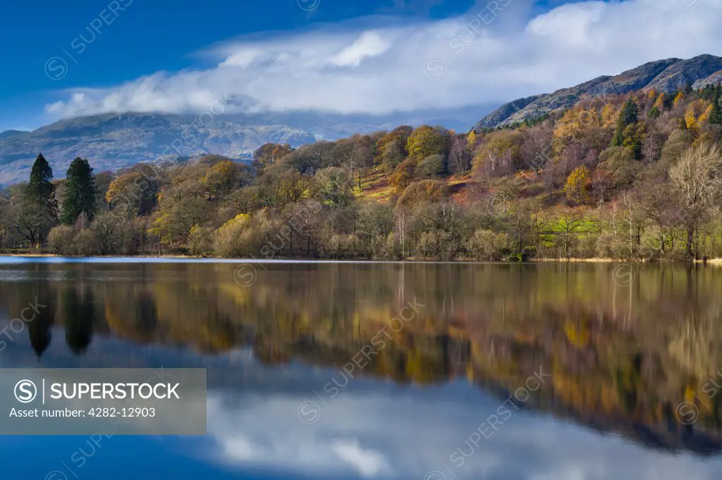 England, Cumbria, Coniston Water. Lakeland hills reflected upon the still face of Coniston Water in the Lake District National Park.