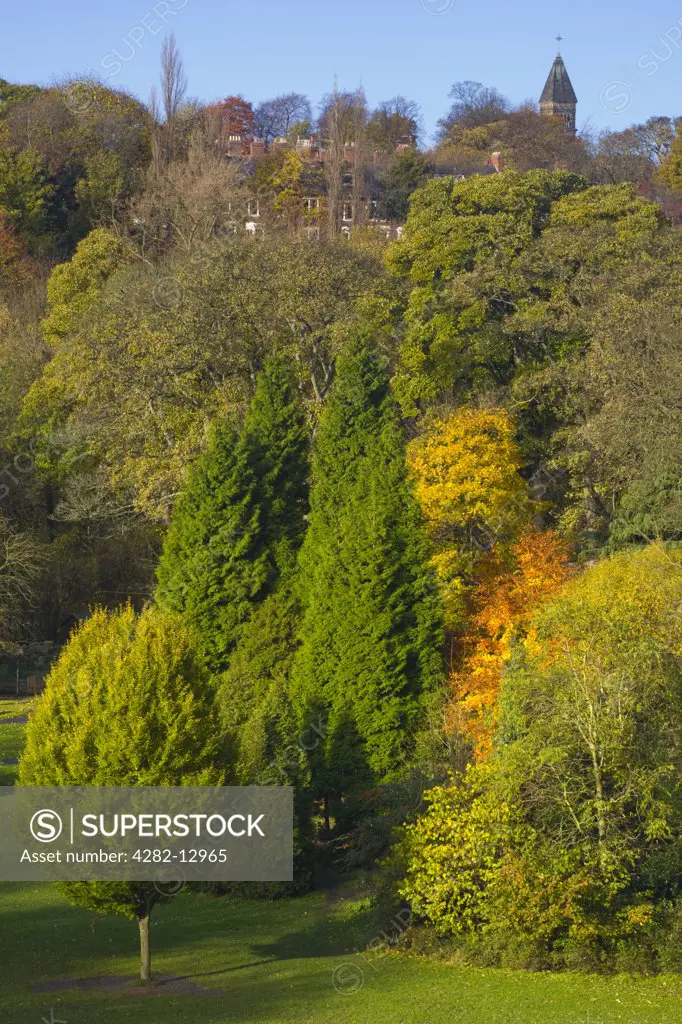England, Tyne and Wear, Newcastle upon Tyne. View looking from the Armstrong Bridge towards Jesmond Dene.
