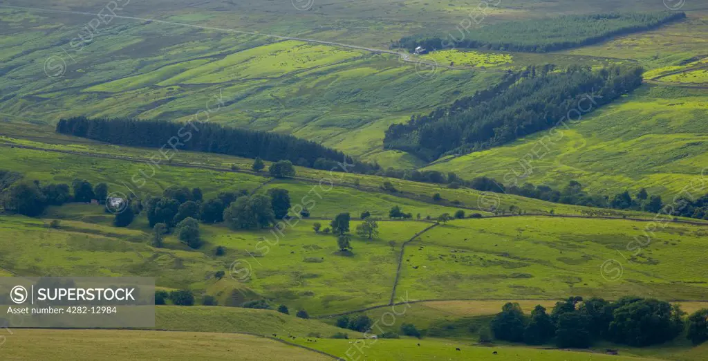 England, Northumberland, West Allen Dale. West Allen Dale, part of the North Pennines Area of Outstanding Natural Beauty (AONB).