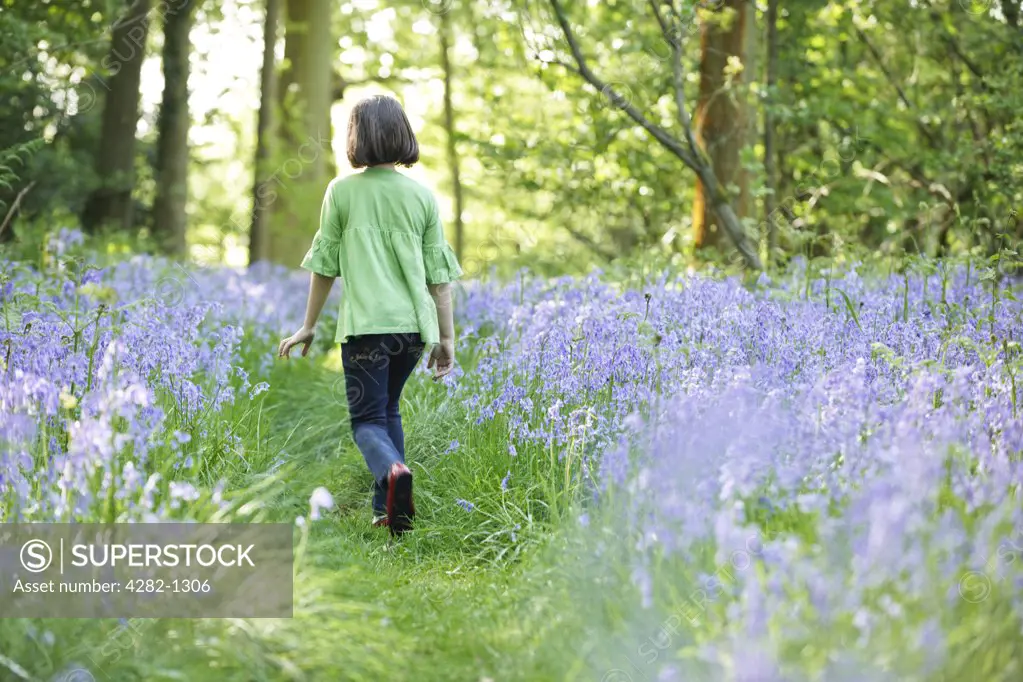 England, Buckinghamshire, Stokenchurch. A young girl walking through a wood full of Bluebells.
