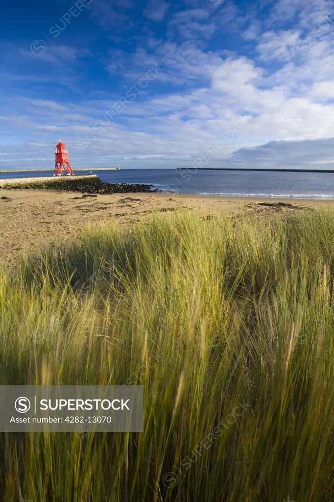 England, Tyne and Wear, South Shields. Looking over long grass and sand dunes on Little Haven Beach towards the South Groyne Lighthouse.