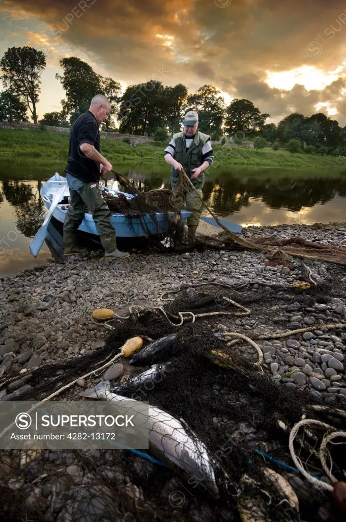 England, Northumberland, Norham. Two fishermen laying the net on the shore at Canny fishery on the River Tweed. These fishermen are fishing in a traditional method which has been used for generations.