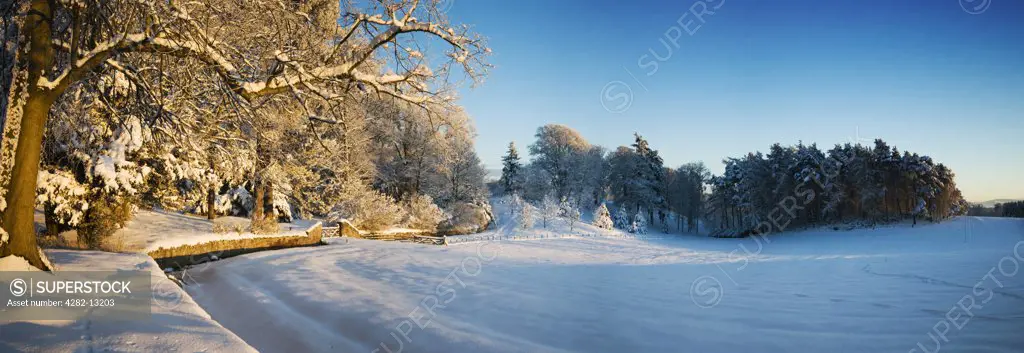 Scotland, Scottish Borders, Ladykirk. Snow covering woodland and farmland in the Scottish Borders during the Winter of 2010.
