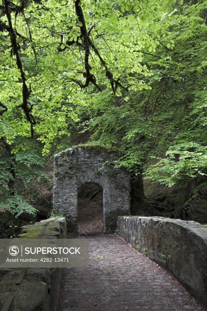Scotland, Perth and Kinross, Dunkeld. A stone bridge dating from 1770 at The Hermitage (The Hermitage pleasure ground), a folly created by the Dukes of Atholl in the 18th century in Craigvinean Forest.