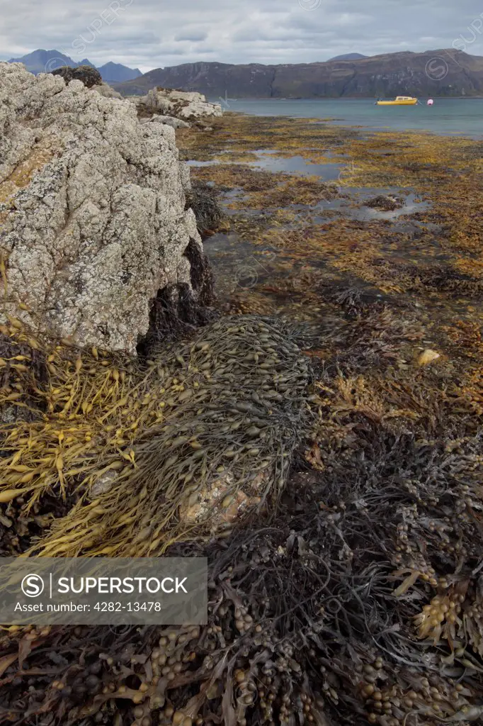 Scotland, Highland, Ord. View from a seaweed covered shore towards a small boat moored on Loch Eishort on the Isle of Skye.