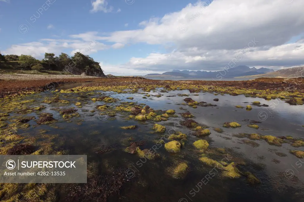 Scotland, Highland, Ord. Rocks covered in seaweed on the shore of Loch Eishort on the Isle of Skye.