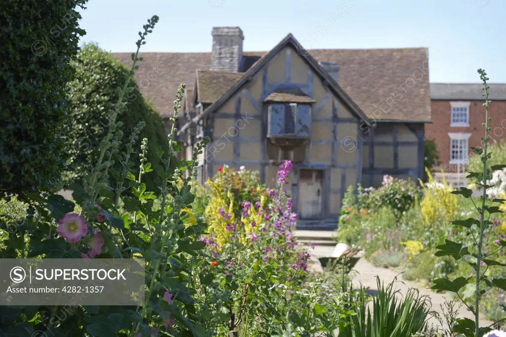 England, Warwickshire, Stratford-upon-Avon. William Shakespeare's Birthplace and Garden in Henley Street, the most famous and most visited literary landmark in Britain. The garden includes flowers, trees and herbs that were popular in Elizabethan England.