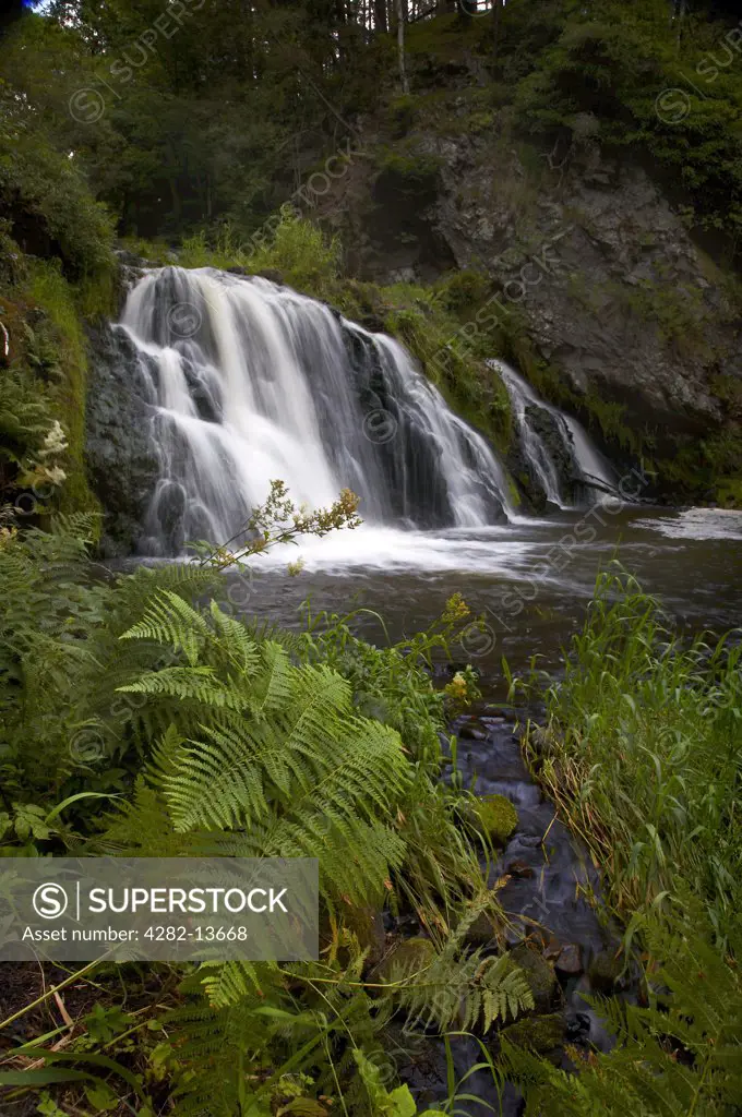 Scotland, Aberdeenshire, Dess Waterfall. Dess Waterfall in mature woodland in Aberdeenshire.