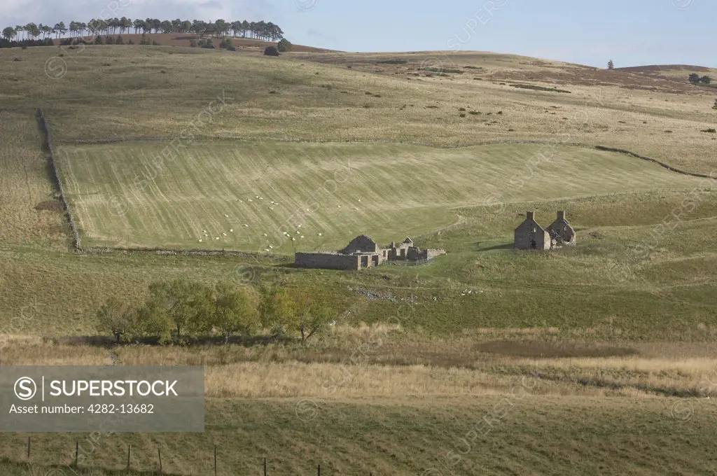 Scotland, Aberdeenshire, Glen Deskry. The ruins of farm buildings on a croft in Glen Deskry.