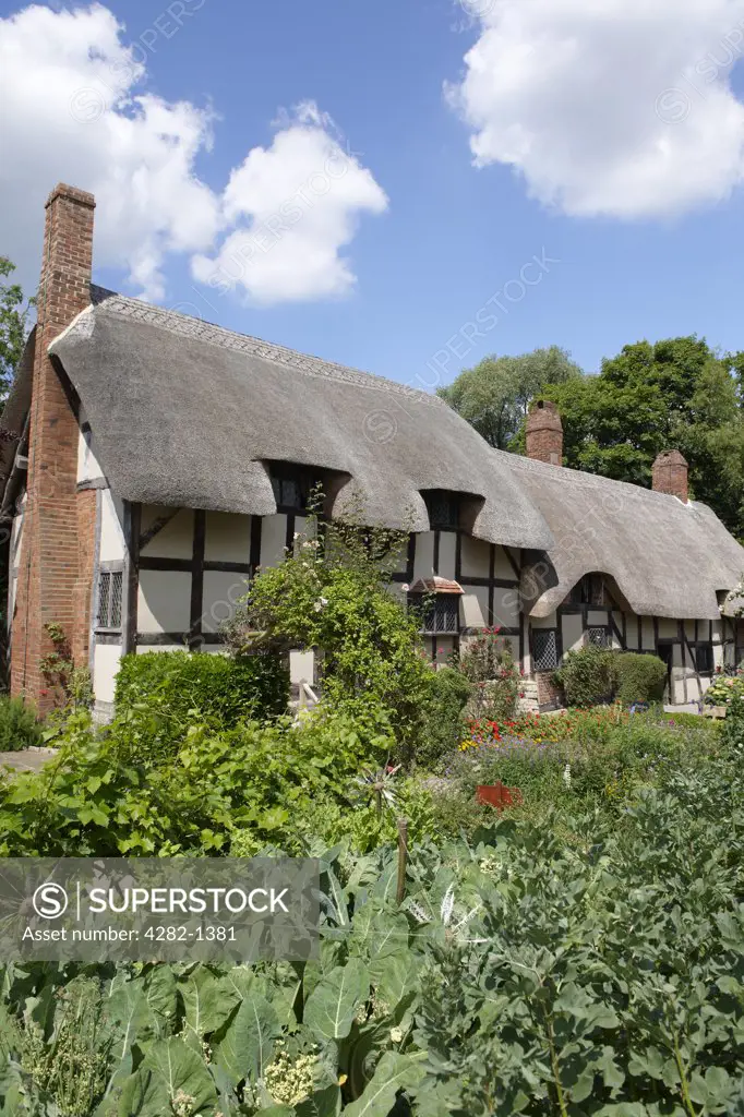 England, Warwickshire, Shottery. Anne Hathaway's Cottage, a traditional English cottage that was the premarital home of William Shakespeare's wife, Anne.