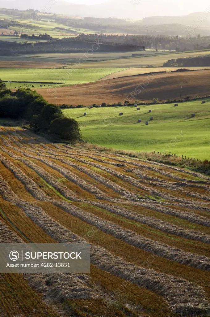 Scotland, Aberdeenshire, Tarland. A view of fields and furrows from Queens View.