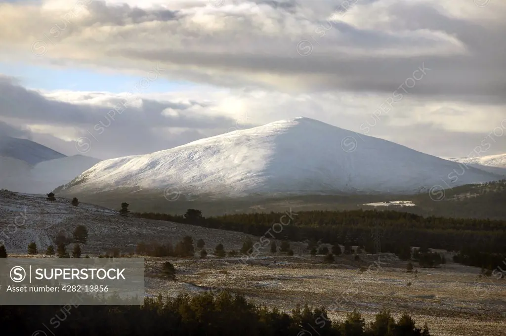 Scotland, Strathspey, Cairngorms. A view over the Braes of Abernethy to Meall a' Bhuachaille.