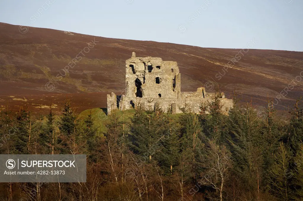 Scotland, Moray, Dufftown. A view across the trees to the remains of Auchindoun Castle in Moray.