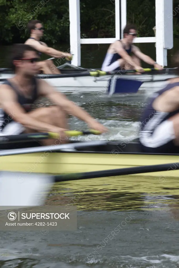 England, Oxfordshire, Henley-on-Thames. Boat crews rowing powerfully off the start line during a race at the annual Henley Royal Regatta.