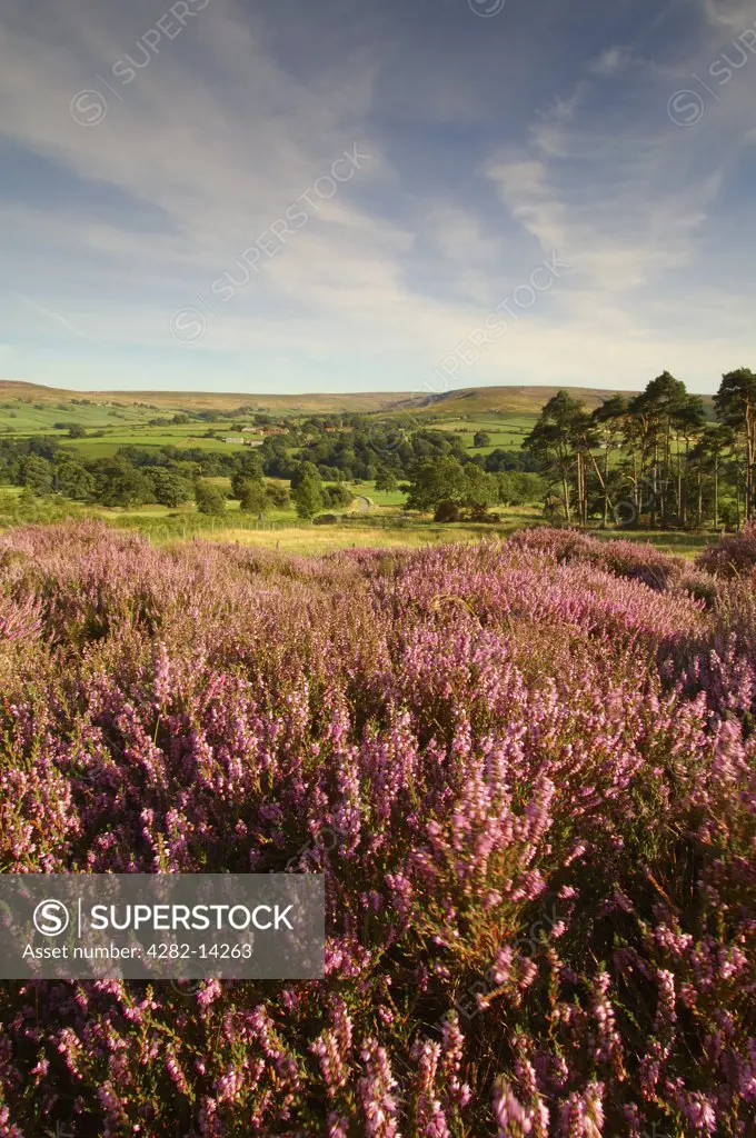 England, North Yorkshire, Westerdale. The village of Westerdale in the North Yorkshire Moors National Park.