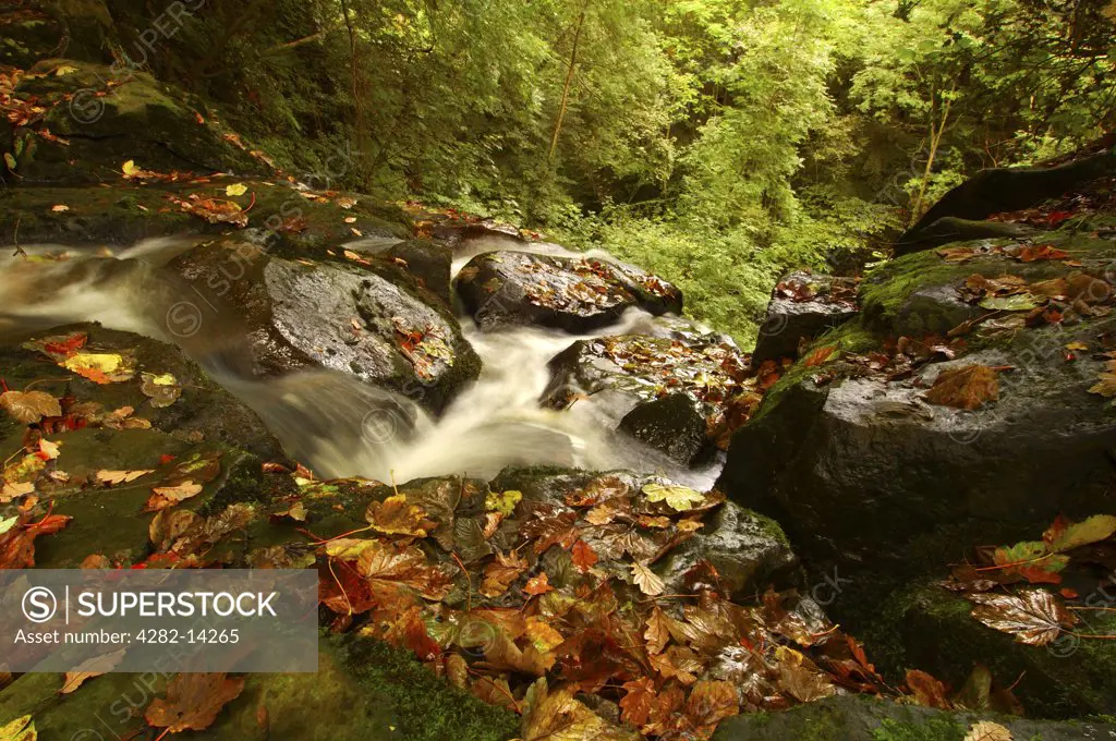England, North Yorkshire, Littlebeck. View from the top of Falling Foss.