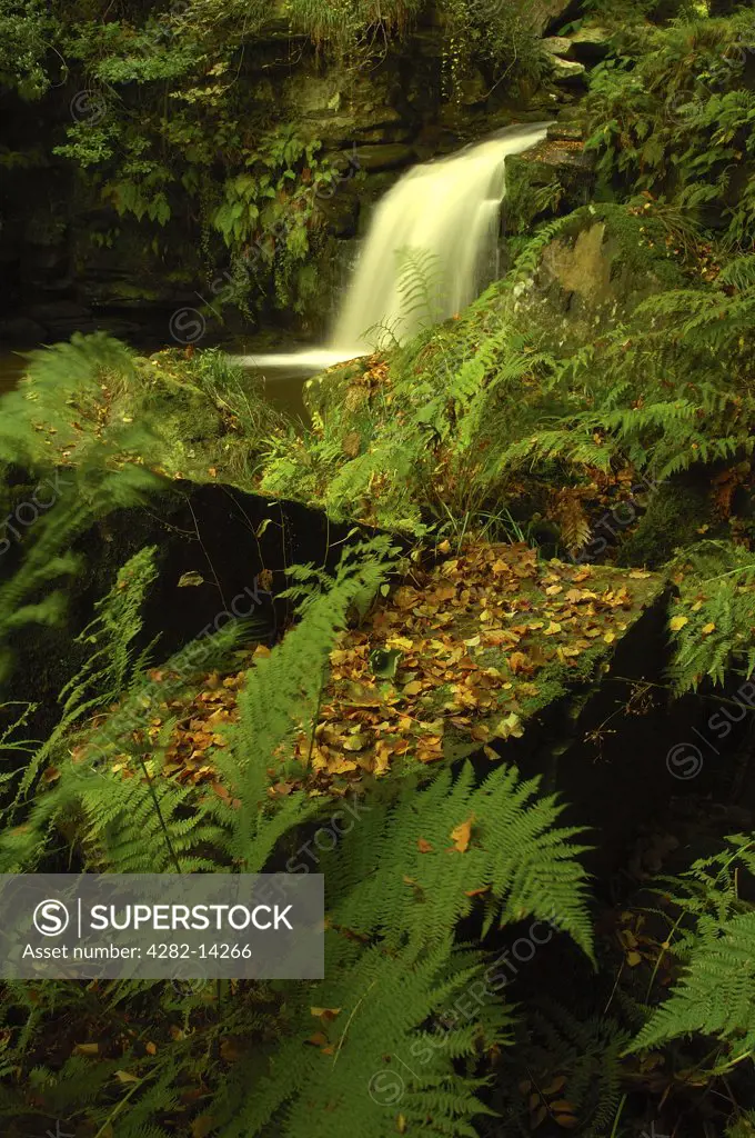 England, North Yorkshire, Beck Hole. View of Thomasson Foss.