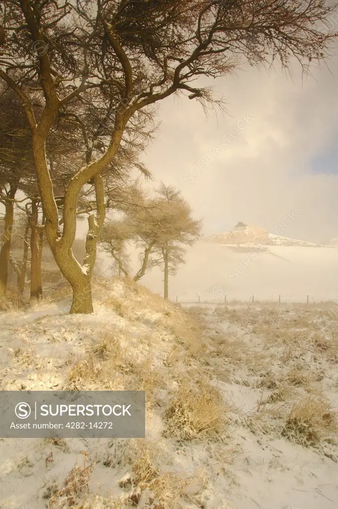 England, North Yorkshire, Cliff Ridge. View of Roseberry Topping taken from Cliff Ridge after a heavy snowfall.
