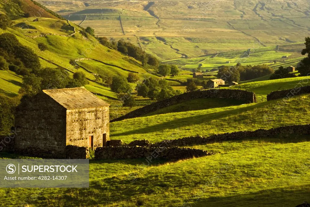 England, North Yorkshire, Swaledale. Dry stone walls dividing fields in Swaledale.The language of the Vikings can still be heard in Swaledale, in the local dialect and the village place names.