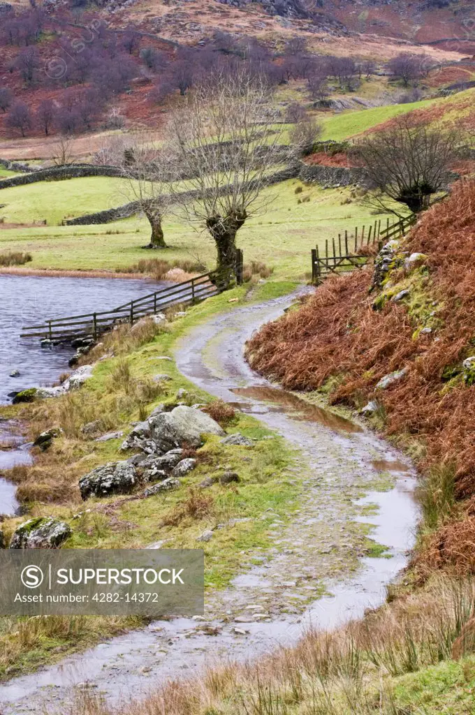 England, Cumbria, Watendlath. A winding country path around the village and tarn of Watendlath.