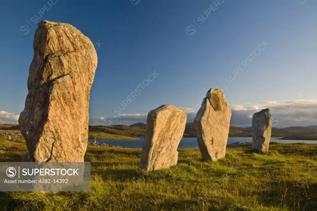 Scotland, Isle of Lewis, Callanish Outer Hebrides. Late summer sun reflects off the ancient standing stones of Callanish 1 in the Isle of Lewis.